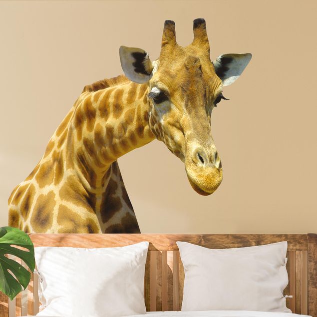 Autocolantes de parede África Giraffa curiosa