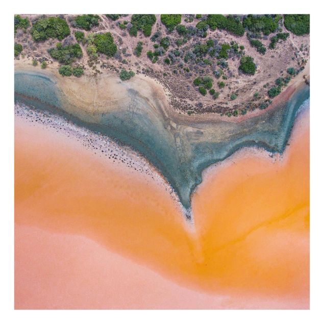 Quadri sulla natura Riva del lago arancione in Sardegna