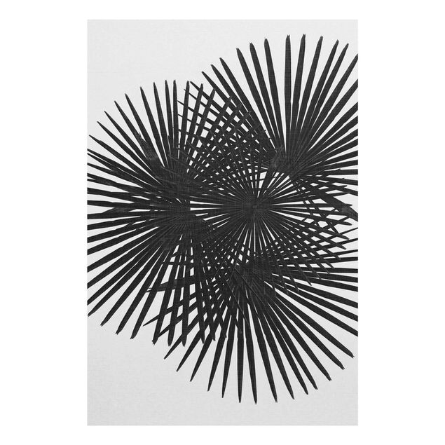 Glas Magnetboard Foglie di palma in bianco e nero