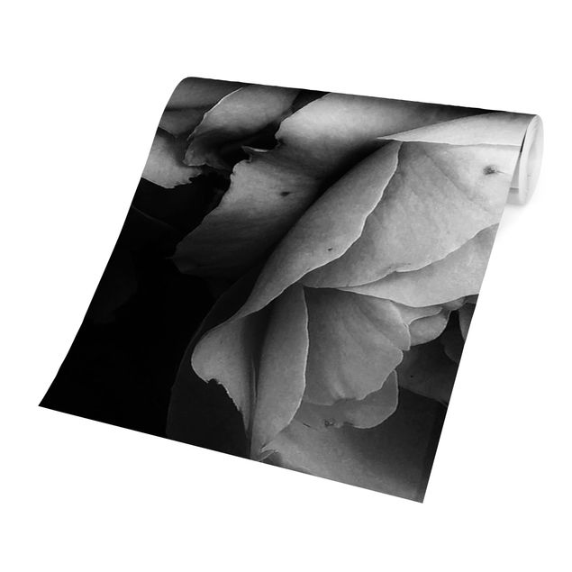 Carta da parati a fiori Peonie su sfondo nero shabby in bianco e nero