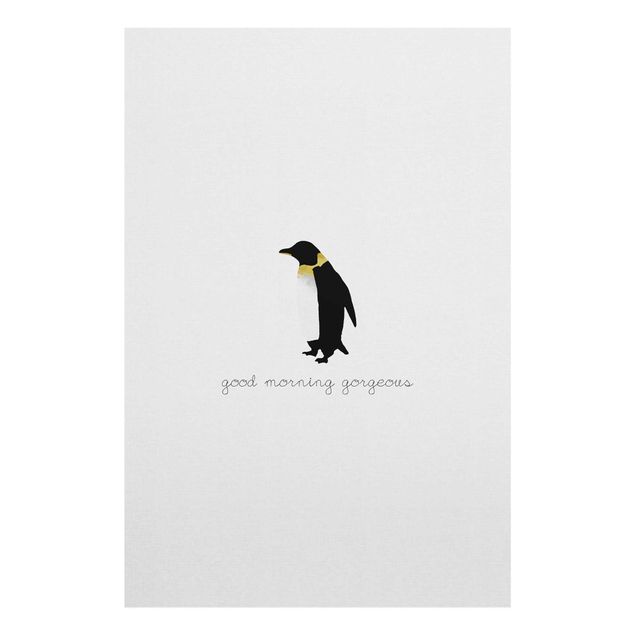 Glas Magnettafel Citazione Pinguino Buongiorno Splendido