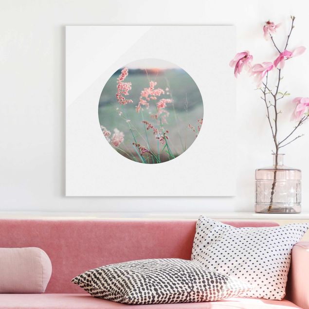 Quadri in vetro con fiori Fiori rosa in cerchio