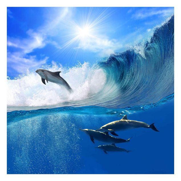 Carta da parati paesaggio Giocare con i delfini