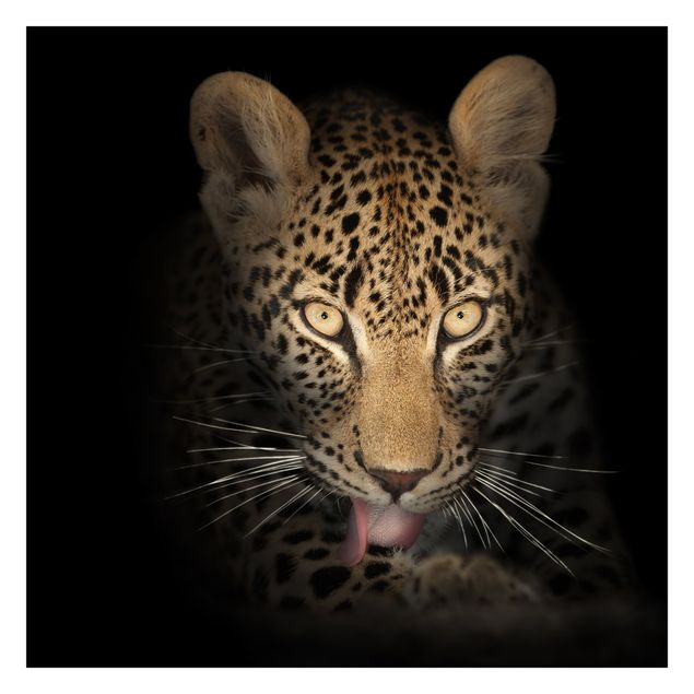 Carta da parati con animali Leopardo a riposo