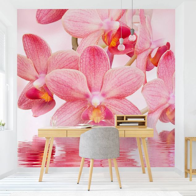 Carte da parati con orchidee Orchidea rosa chiaro sull'acqua