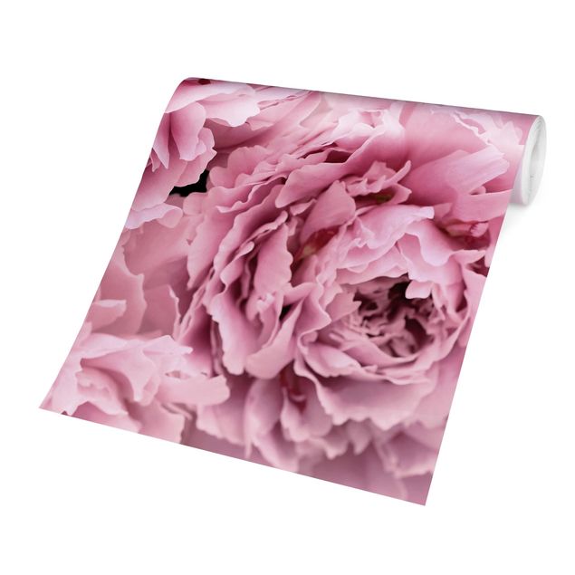 Carte da parati floreali Peonie rosa