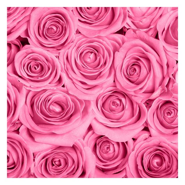 Carte da parati country Rose rosa