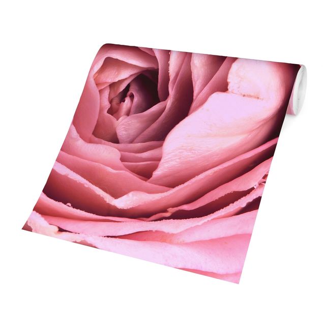Carta da parati a fiori Fiore di rosa rosa