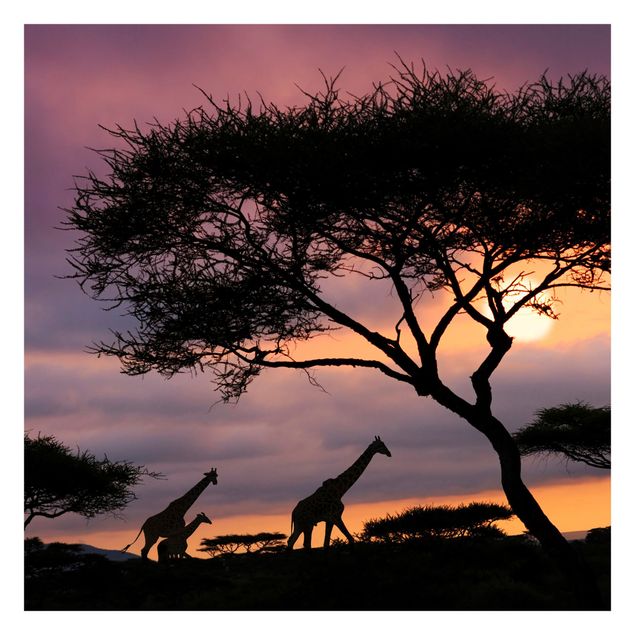 Carta da parati giraffa Safari africano