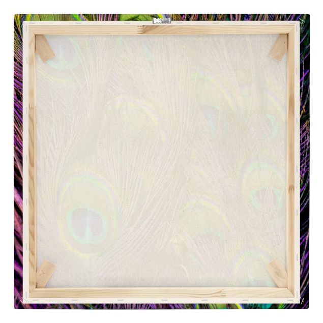 Quadro su tela naturale - Piume di pavone cangianti - Quadrato 1:1