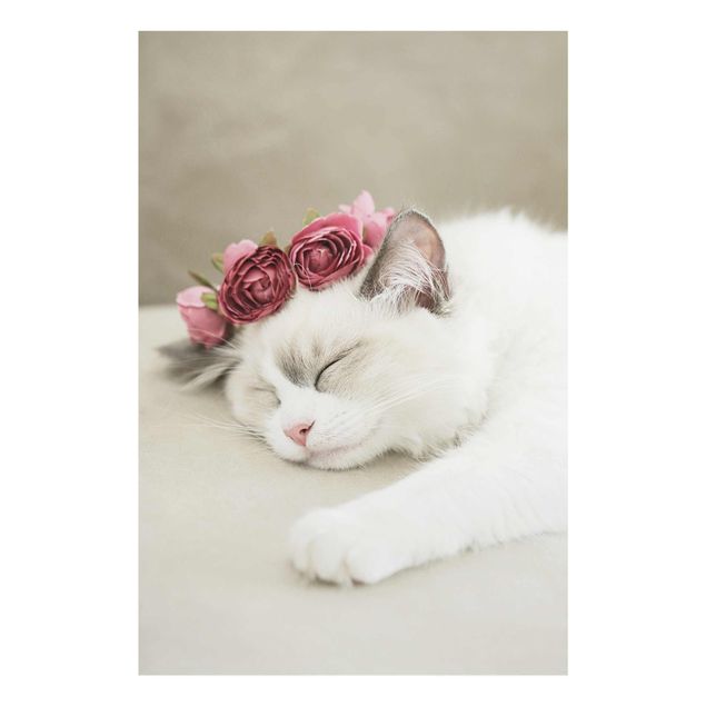 Quadri moderni   Gatto addormentato con rose
