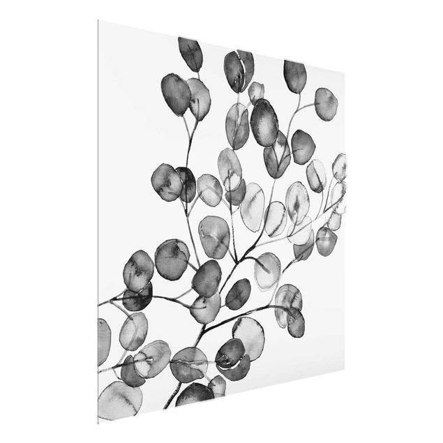 Quadri Monika Strigel Acquerello di ramoscelli di eucalipto in bianco e nero