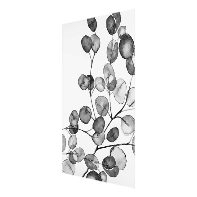 Magnettafel Glas Acquerello di ramoscelli di eucalipto in bianco e nero