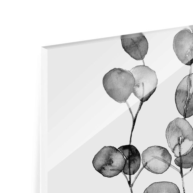 Quadro in vetro - Ramo di eucalipto in acquerello bianco e nero