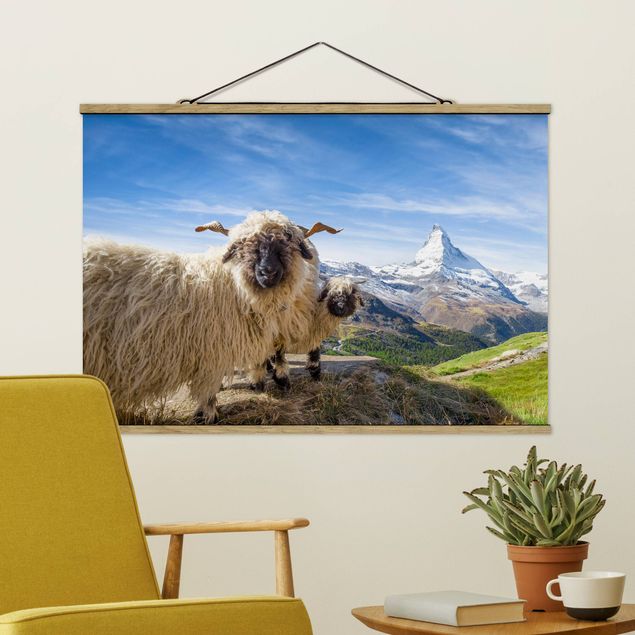 Quadri paesaggistici Pecore dal naso nero di Zermatt