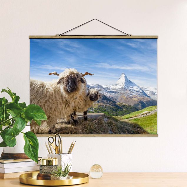 Quadri paesaggistici Pecore dal naso nero di Zermatt