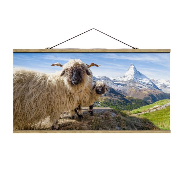 Quadri moderni per arredamento Pecore dal naso nero di Zermatt