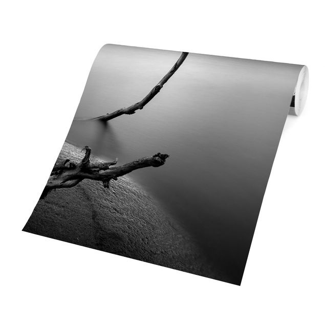 Carta da parati paesaggio Tramonto in bianco e nero sul lago