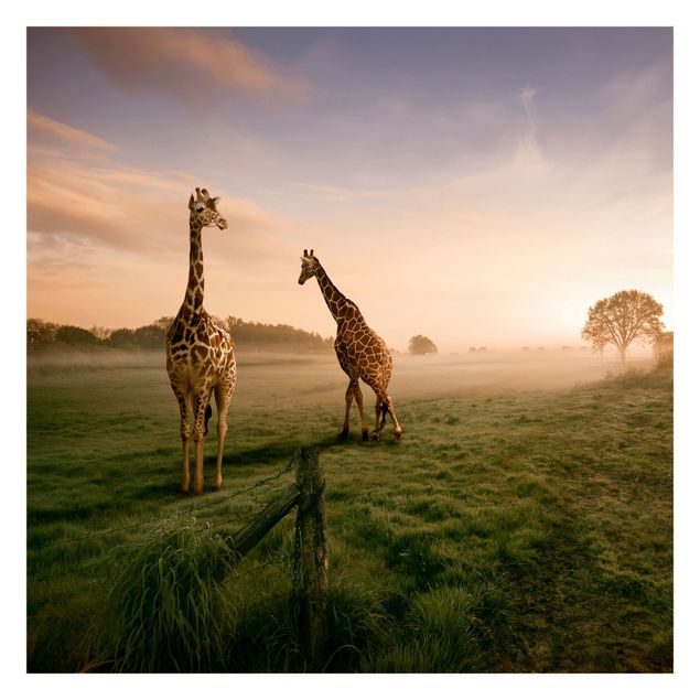Carte da parati paesaggio Giraffe surreali
