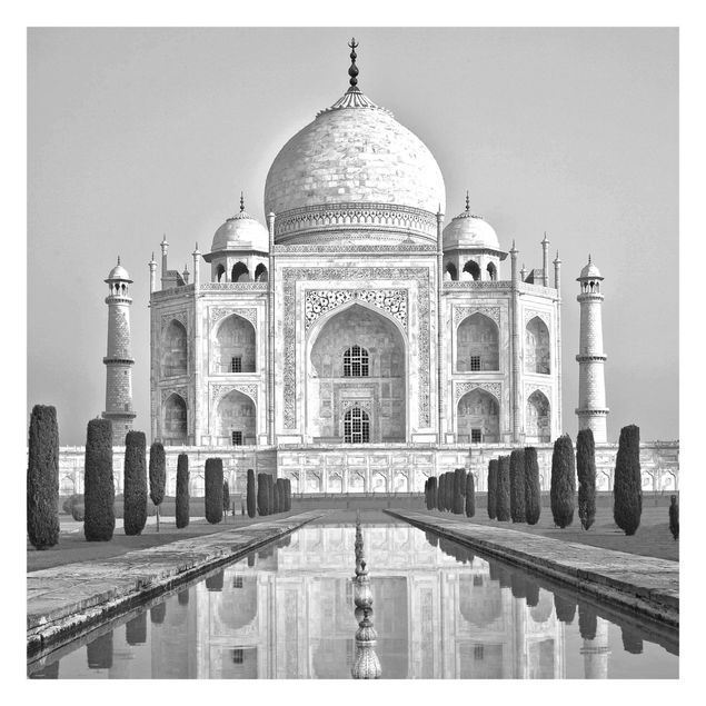 carta da parete Taj Mahal con giardino