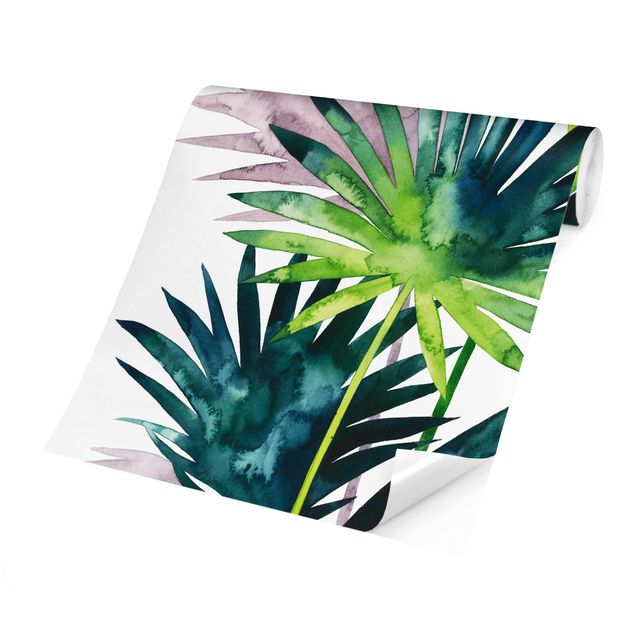 Carte da parati verde Fogliame esotico - Palma a ventaglio