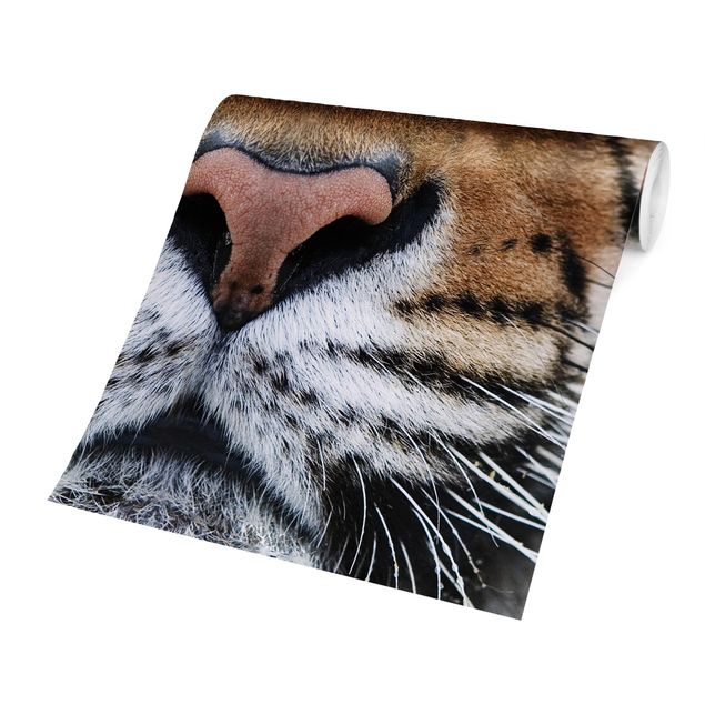 Carte da parati animali Occhi di tigre