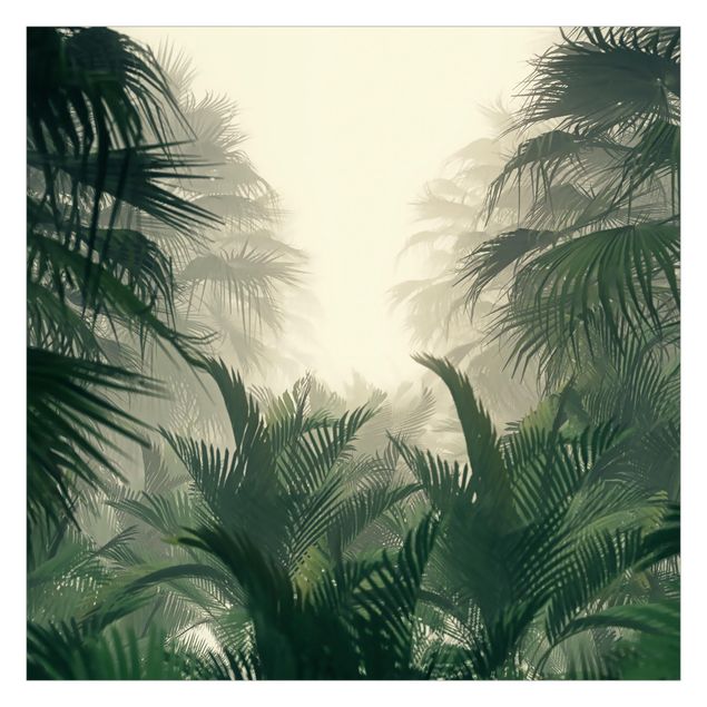 Carta da parati verdi Piante tropicali nella nebbia