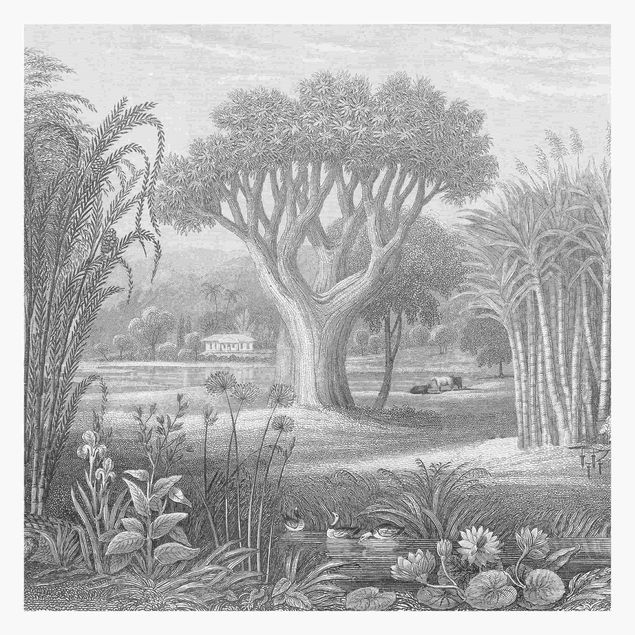 Carte da parati vintage Incisione tropicale in rame con laghetto in grigio