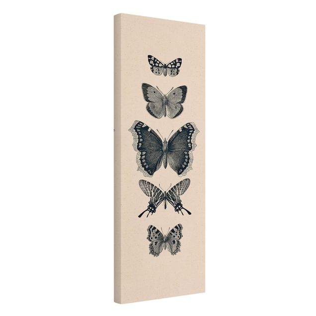 Quadri grigi Farfalle d'inchiostro su sfondo beige
