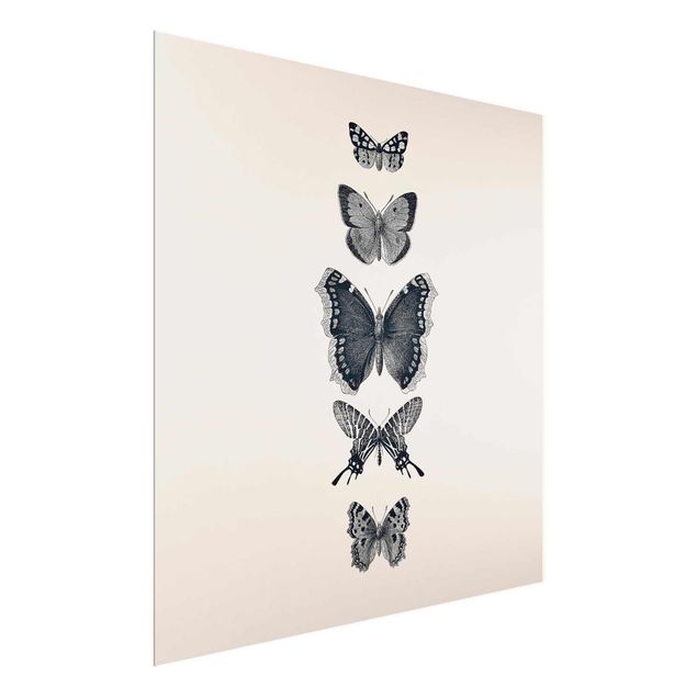 Quadri animali Farfalle d'inchiostro su sfondo beige