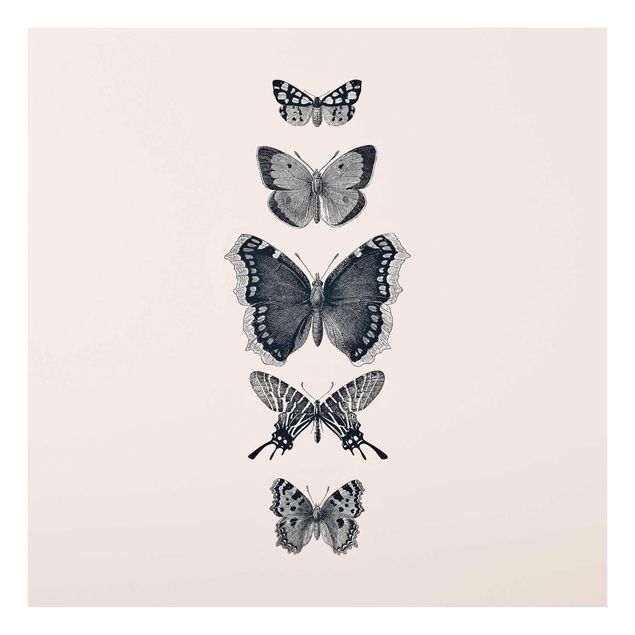 Quadri grigi Farfalle d'inchiostro su sfondo beige