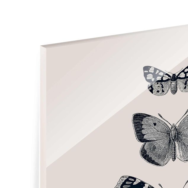 Stampe Farfalle d'inchiostro su sfondo beige
