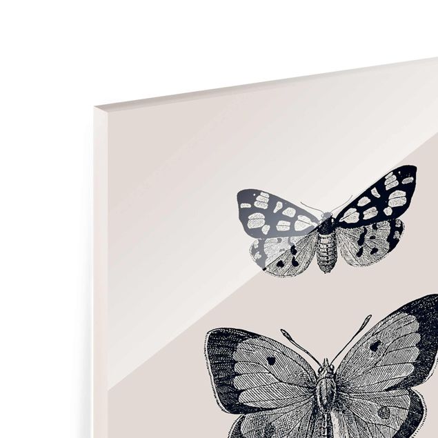 Stampe Farfalle d'inchiostro su sfondo beige