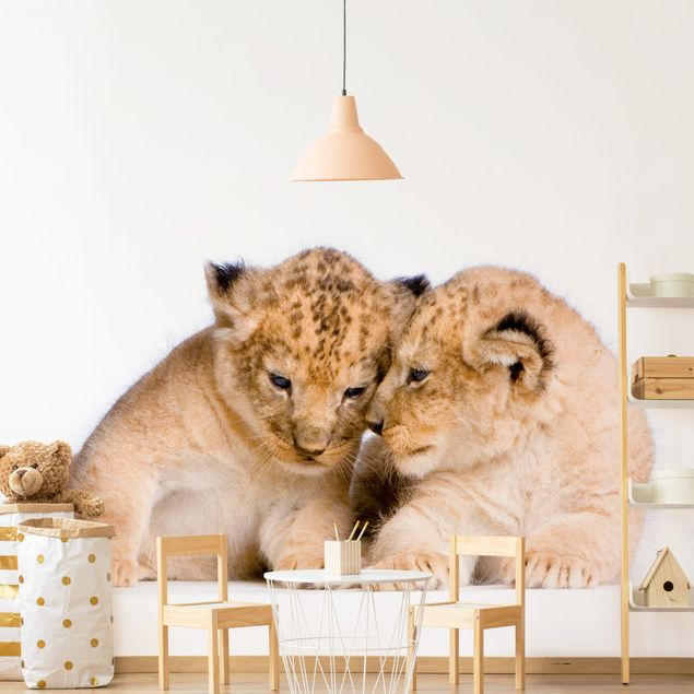 Carte da parati adesive Due leoncini