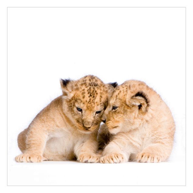 Fotomurale Due leoncini