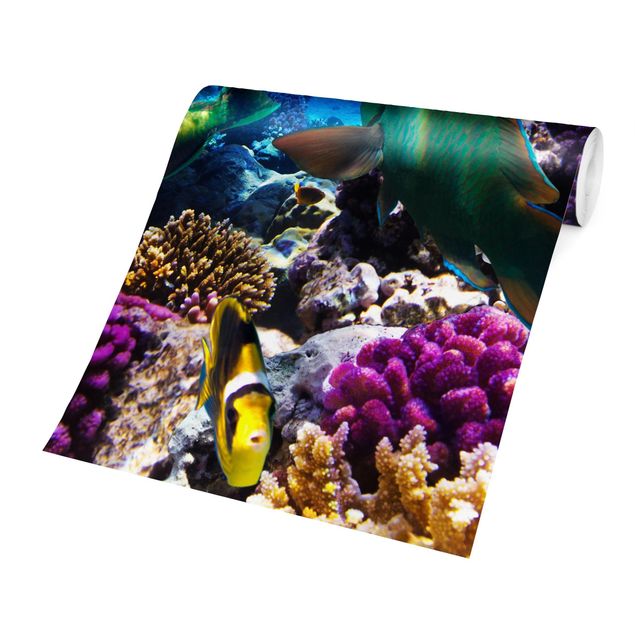 Carte da parati sott'acqua Sogni subacquei