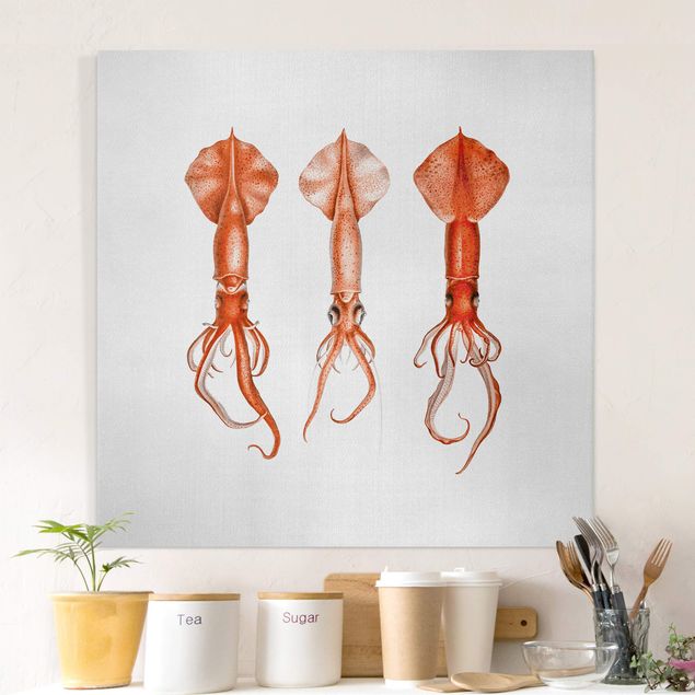 Quadri su tela con pesci Illustrazione vintage di un calamaro rosso