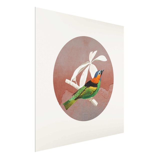 Quadri colorati Collage di uccelli in un cerchio ll