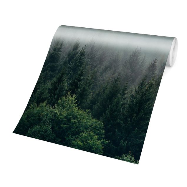 Carta da parati paesaggio Foresta nebbiosa crepuscolo