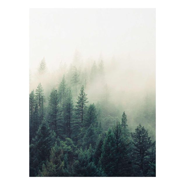 Quadri natura Risveglio della foresta nebbiosa