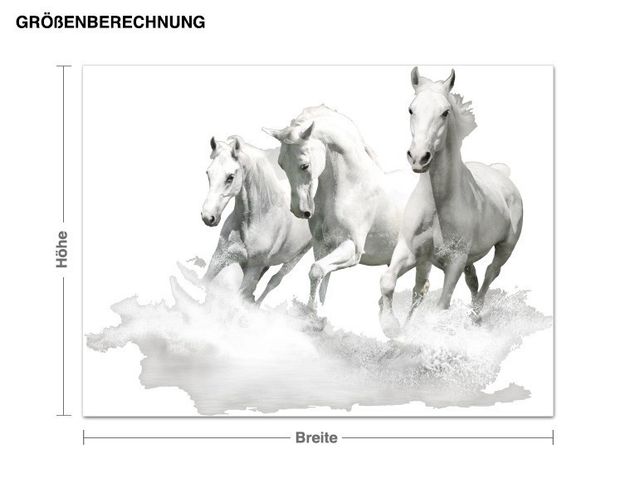 Adesivi murali cavallo Cavalli bianchi al galoppo