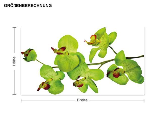 Adesivi murali orchidea Silhouette di un ramoscello di orchidea