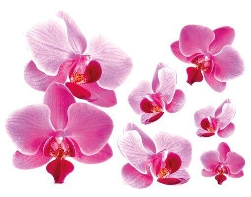 Adesivi murali piante Orchidea rosa