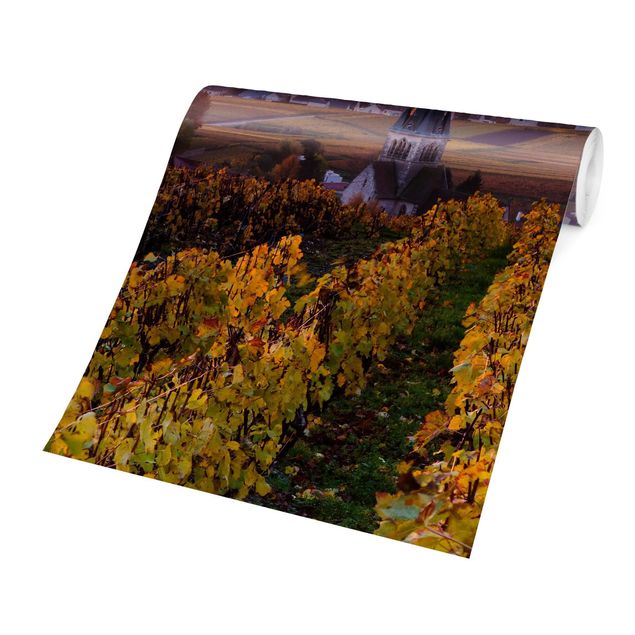 Carta da parati con paesaggi Piantagioni di vino al tramonto