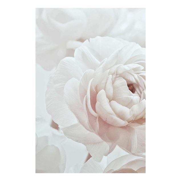 Quadri rosa Fiore bianco in un oceano di fiori