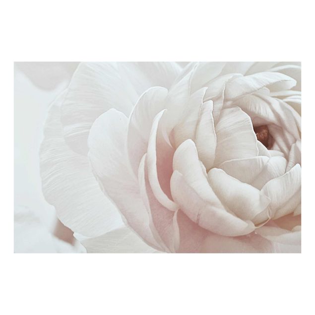 Quadri rosa Fiore bianco in un oceano di fiori