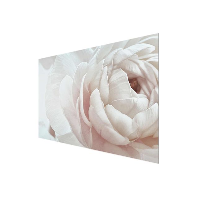 Quadri Monika Strigel Fiore bianco in un oceano di fiori