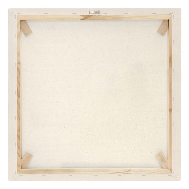 Quadro su tela naturale - Linee bianche - Rana su foglia - Quadrato 1:1