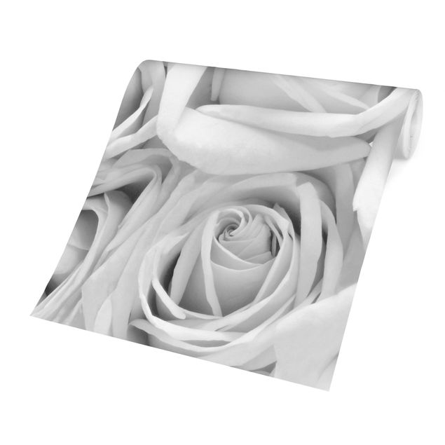 Carta da parati floreale Rose bianche in bianco e nero