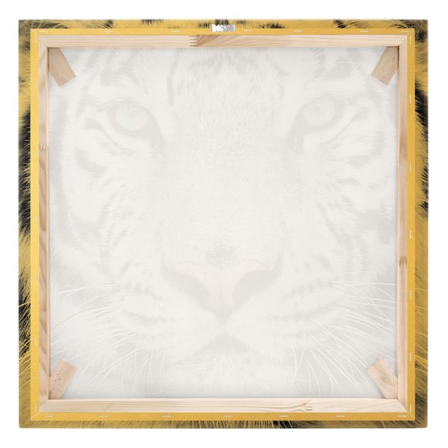 Stampe su tela Tigre bianca